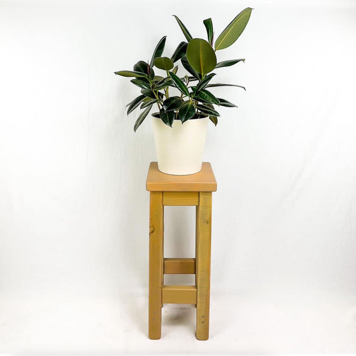 Bitterroot Plant Stand