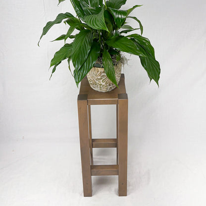 Dearborn Plant Stand