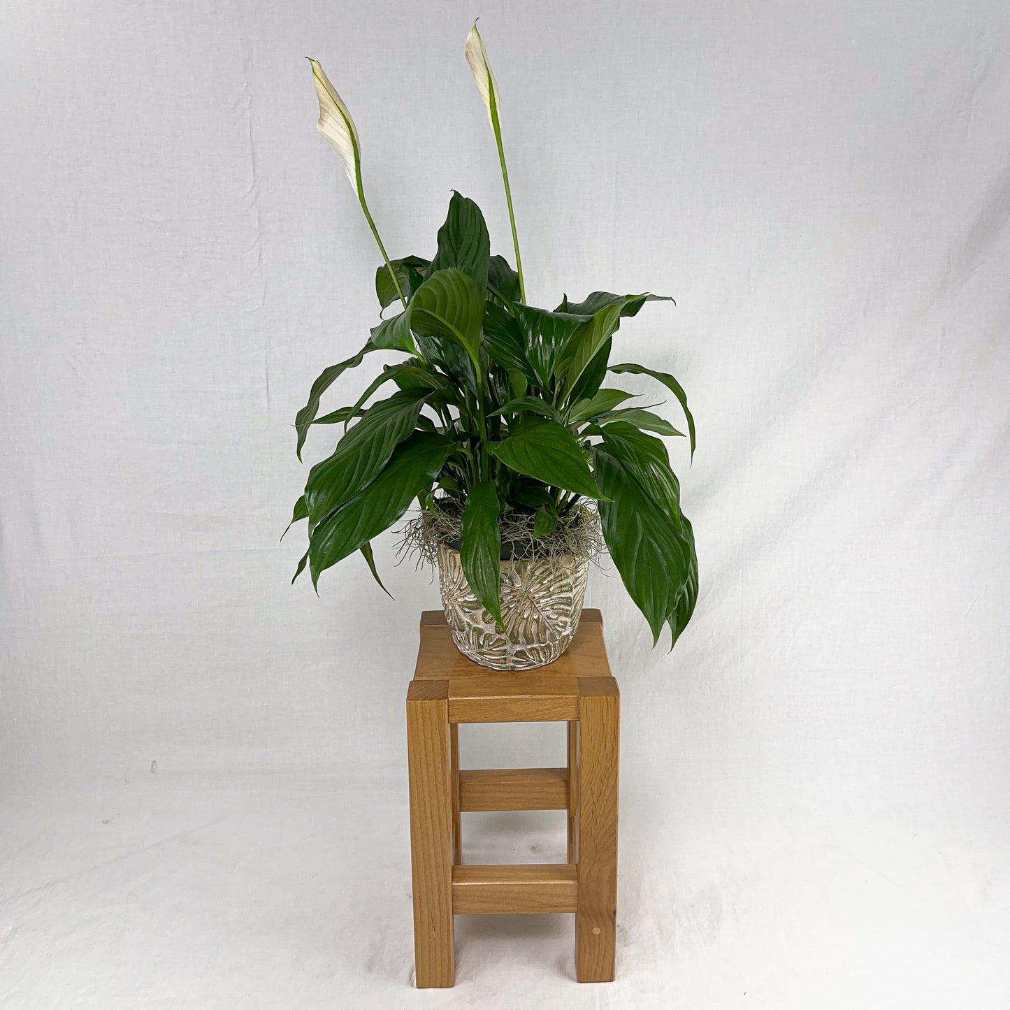 Dearborn Plant Stand