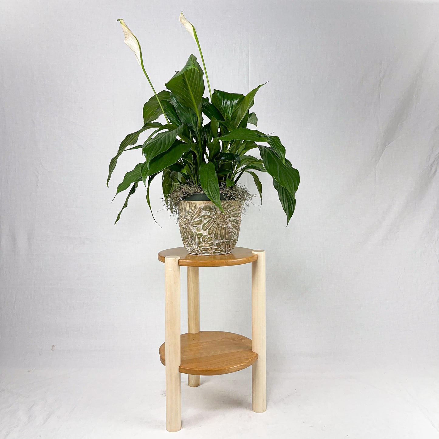 Powder River Plant Stand