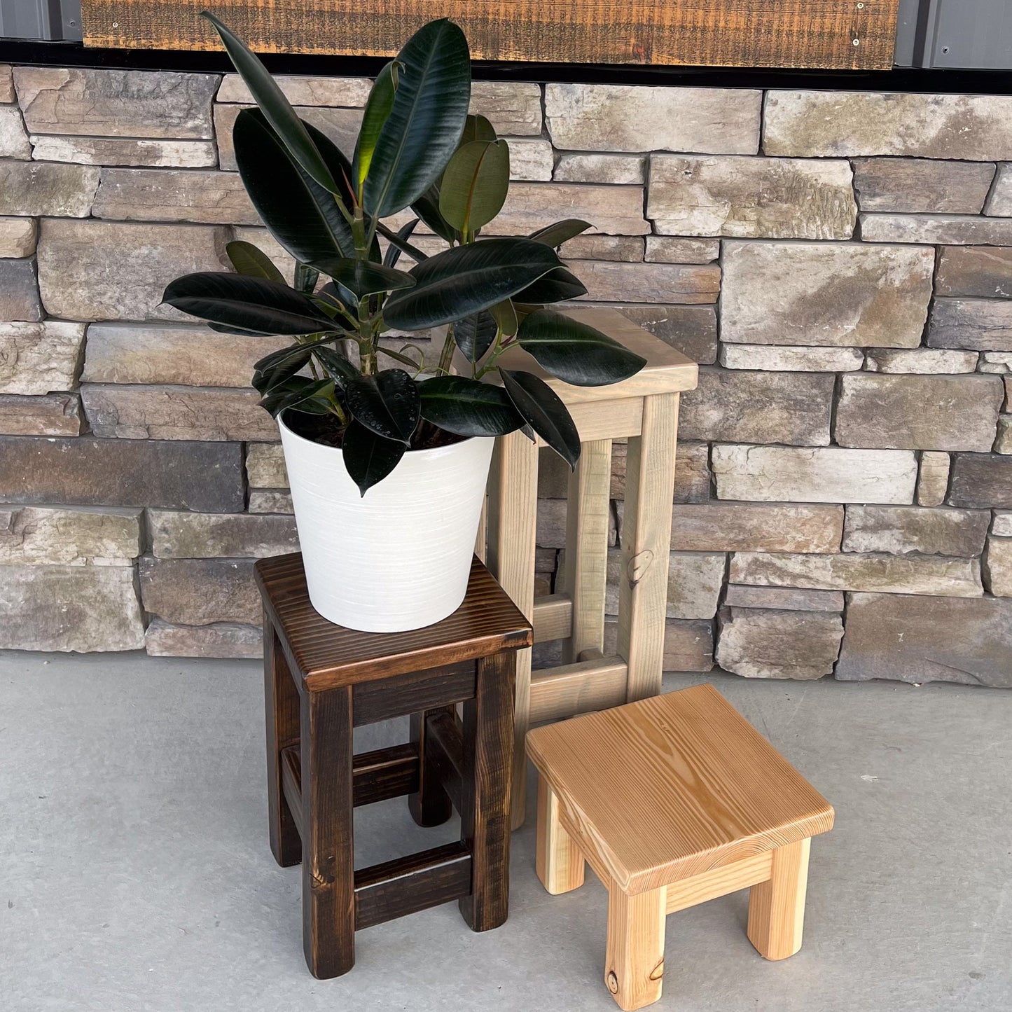 Bitterroot Plant Stand